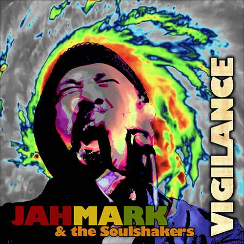 Vigilance album cover